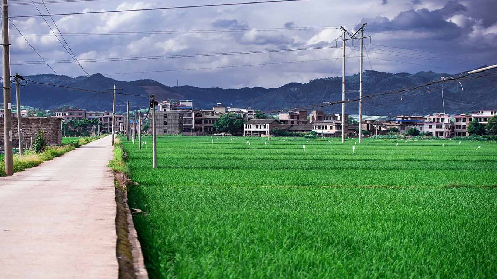 沙田区内蒙古乡村沃畉农业服务购入…